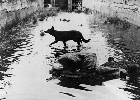 stalker by andrei tarkovsky