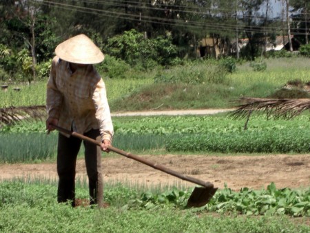 Peasant_in_the_vegetable_garden